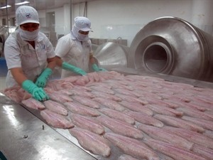 Processing tra fish for exports (Photo: VNA) Processing tra fish for exports (Photo: VNA)